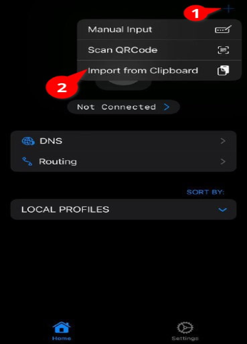 Import-from-Clipboard